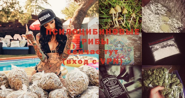 mdpv Гусев