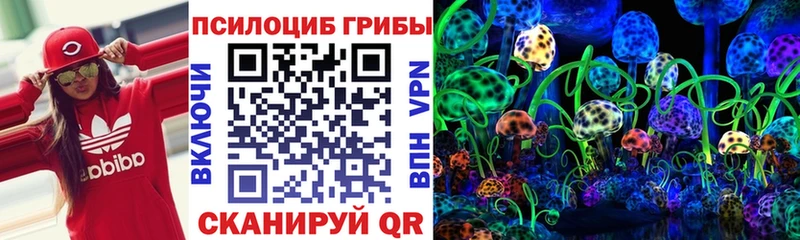 Псилоцибиновые грибы мицелий  Москва 